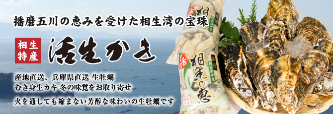 兵庫県相生産 食べ放題生牡蠣のセット直売所より産地直送 旬の味を生産者直売送料無料で即日発送