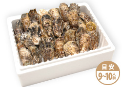 殻付き生牡蠣 5kg