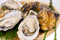 会員優待セール